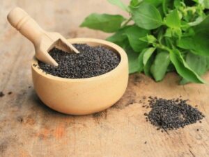 BASIL-SEEDS