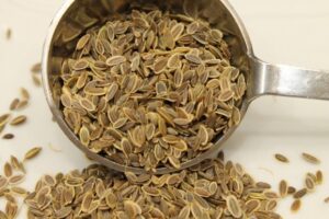 DILL-SEEDS