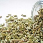 Fennel Seed