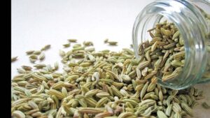 Fennel Seed