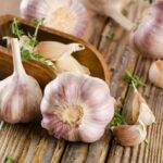 GARLIC