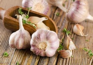 GARLIC